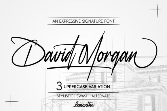 David Morgan Font: Elevating Web Design with Signature Style