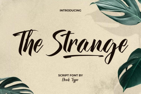 The Strange Font: Bold Script for Editorial Design